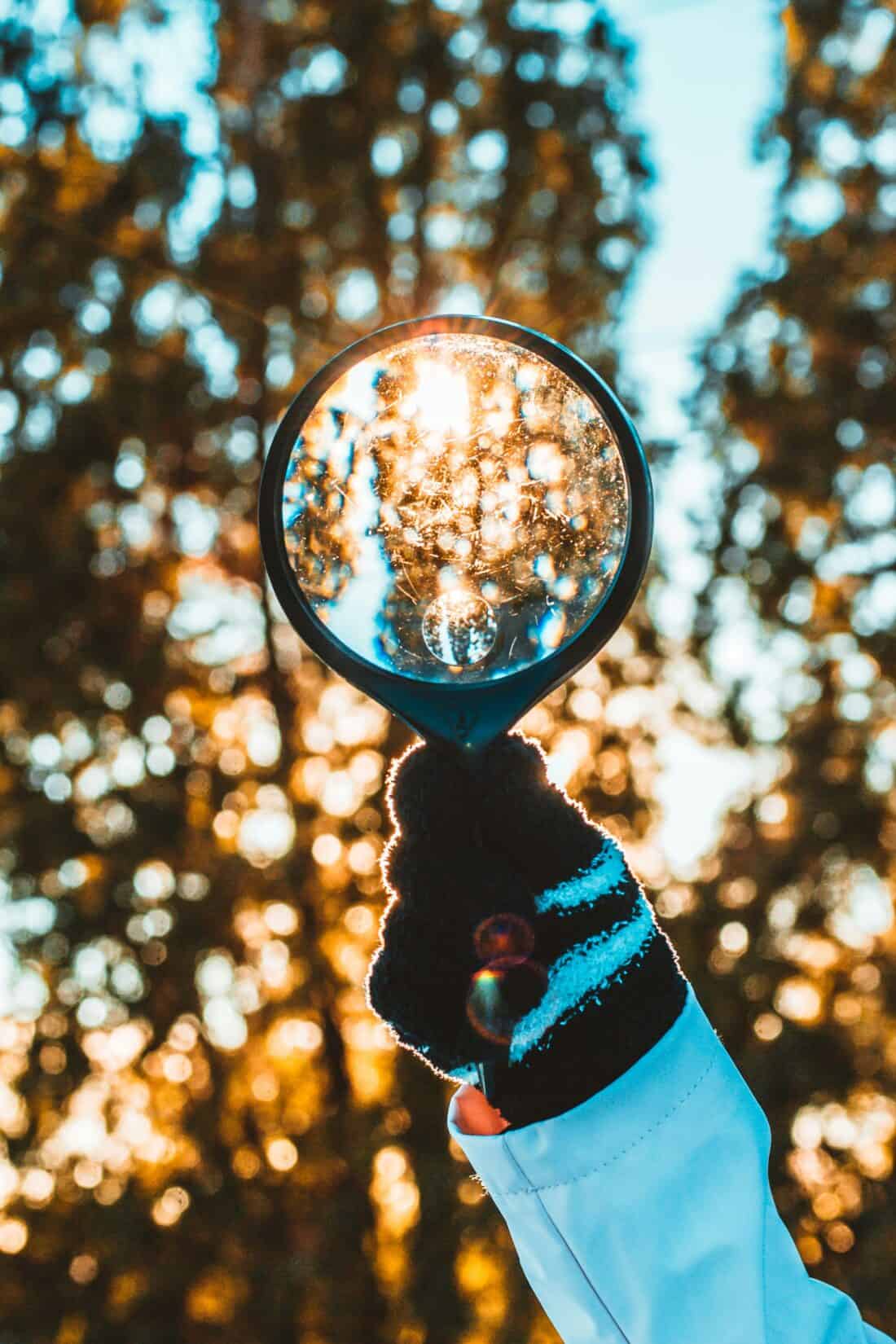 A gloved hand holds up a magnifying glass against a backdrop of sunlit trees. The magnifying glass captures and enlarges the golden reflections of sunlight shining through the branches—an inspiring scene for anyone planning a garden design. The glove has black, white, and blue stripes.