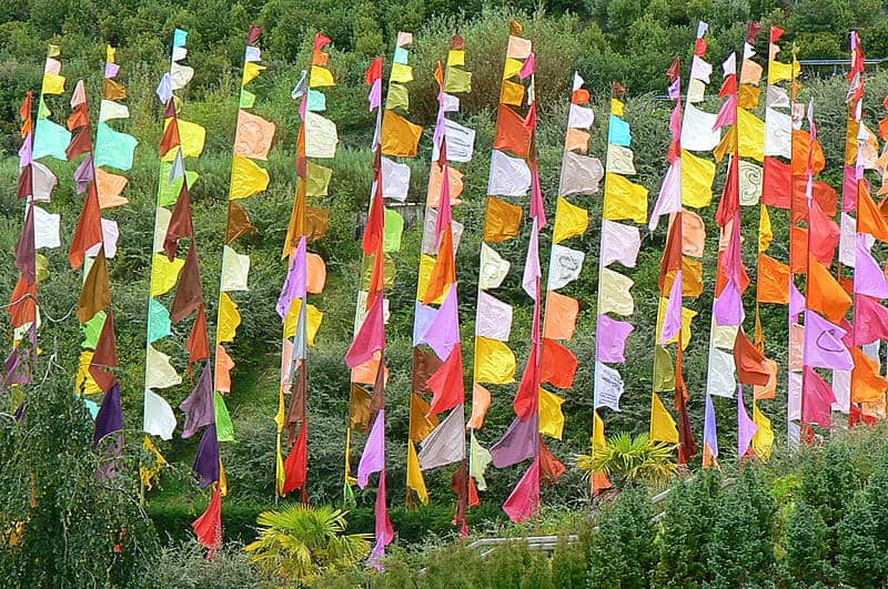 Colorful flags of various shapes and sizes are attached to tall poles, creating a vibrant display. Arranged in rows amidst lush greenery, the scene resembles a tranquil backyard yoga space, suggesting a natural, outdoor setting possibly in a garden or park.