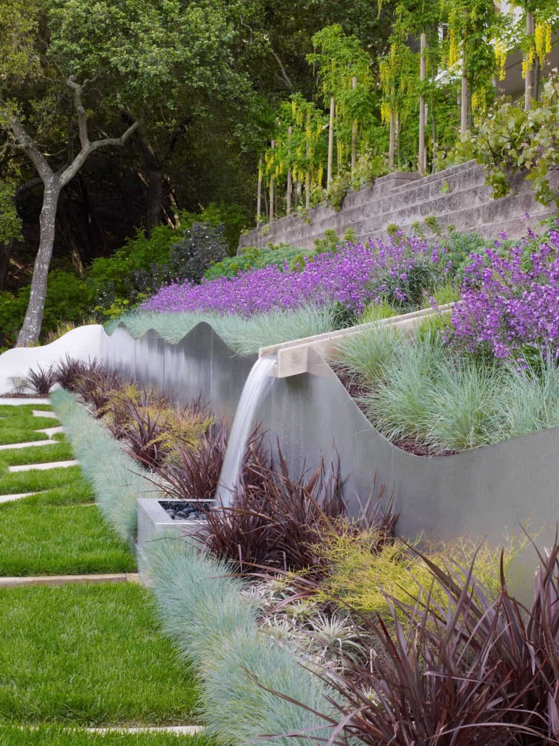 A landscaped garden in Los Gatos features tiered flower beds with lush grasses and purple flowers. A cascading water feature runs along a concrete wall, while a tree stands in the background. Stone pavers set amid the green lawn lead through this picturesque Garden Gallery.
