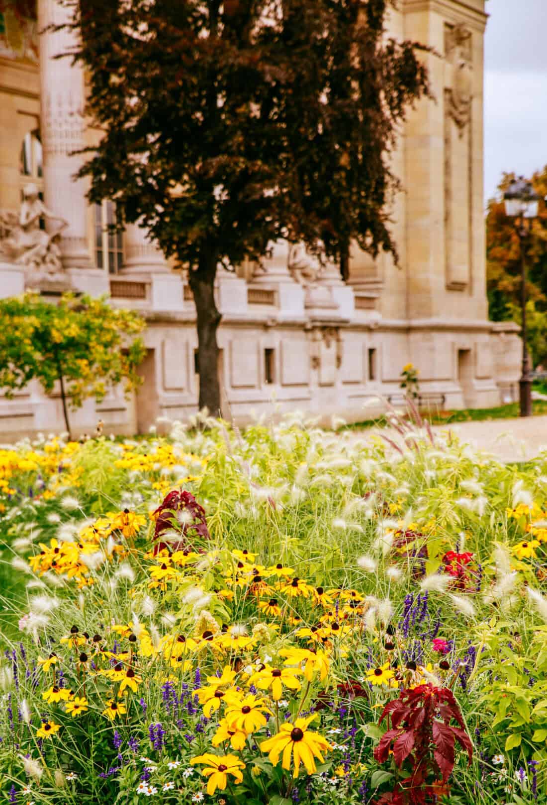 A vibrant autumn garden with yellow flowers and green foliage in the foreground, set against a historic stone building and a tall tree with dark leaves. The scene captures a blend of nature and architecture on a sunny day.