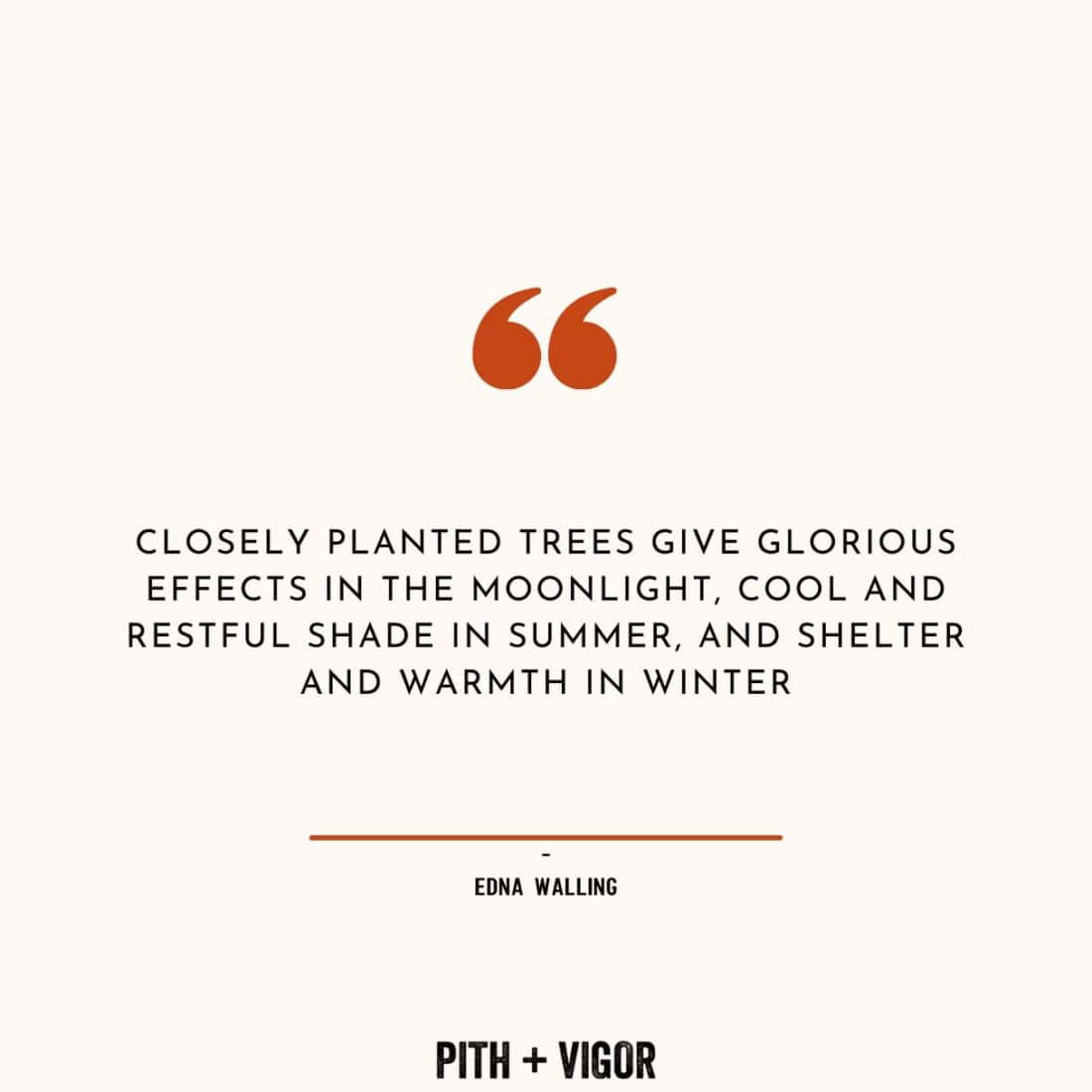 A quote by Australian landscape designer Edna Walling is centered on a beige background, framed by orange quotation marks. It reads, "Closely planted trees give glorious effects in the moonlight, cool and restful shade in summer, and shelter and warmth in winter." At the bottom, "Pith + Vigor" is written in bold black letters.