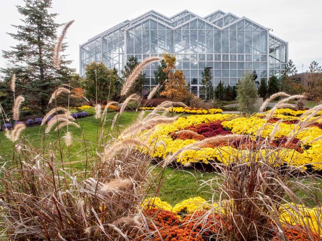 A glass conservatory stands in the background surrounded by a vibrant autumn garden. The foreground features ornamental grasses, while colorful flowers in reds, yellows, and purples form intricate patterns on the lush green lawn.