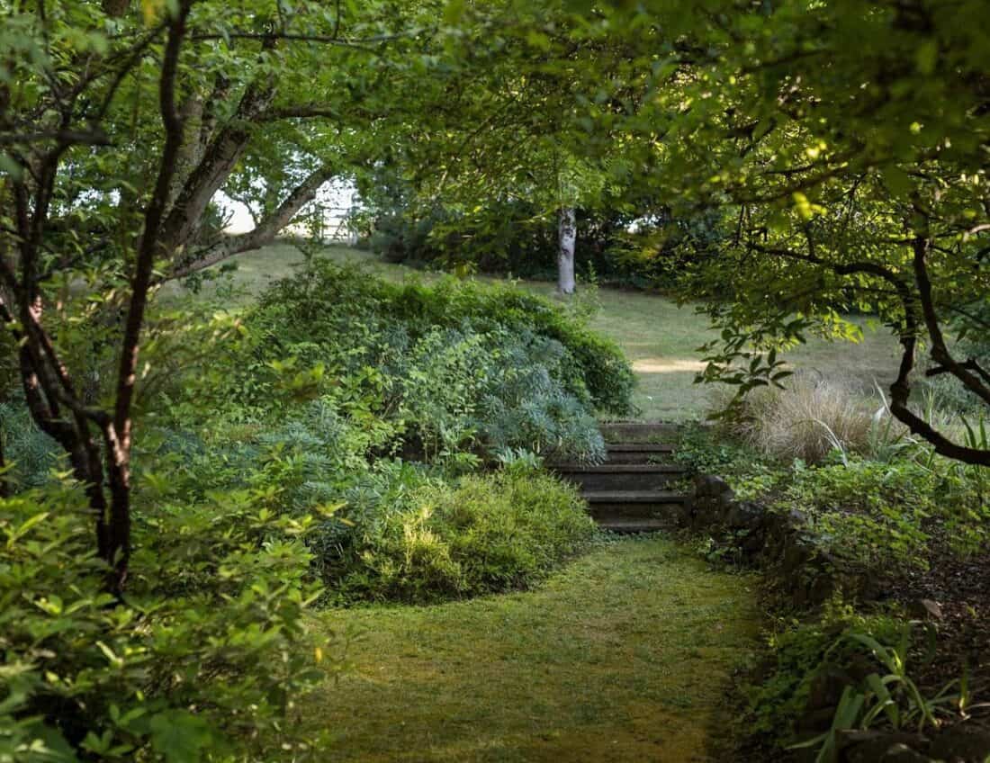 A tranquil garden scene with lush greenery, trees, and thick bushes. A stone pathway flanked by grass and plants leads up to a set of stone steps. Sunlight filters through the foliage, casting dappled light on the ground. In the background, a small clearing is visible—evocative of Edna Walling's iconic garden design.