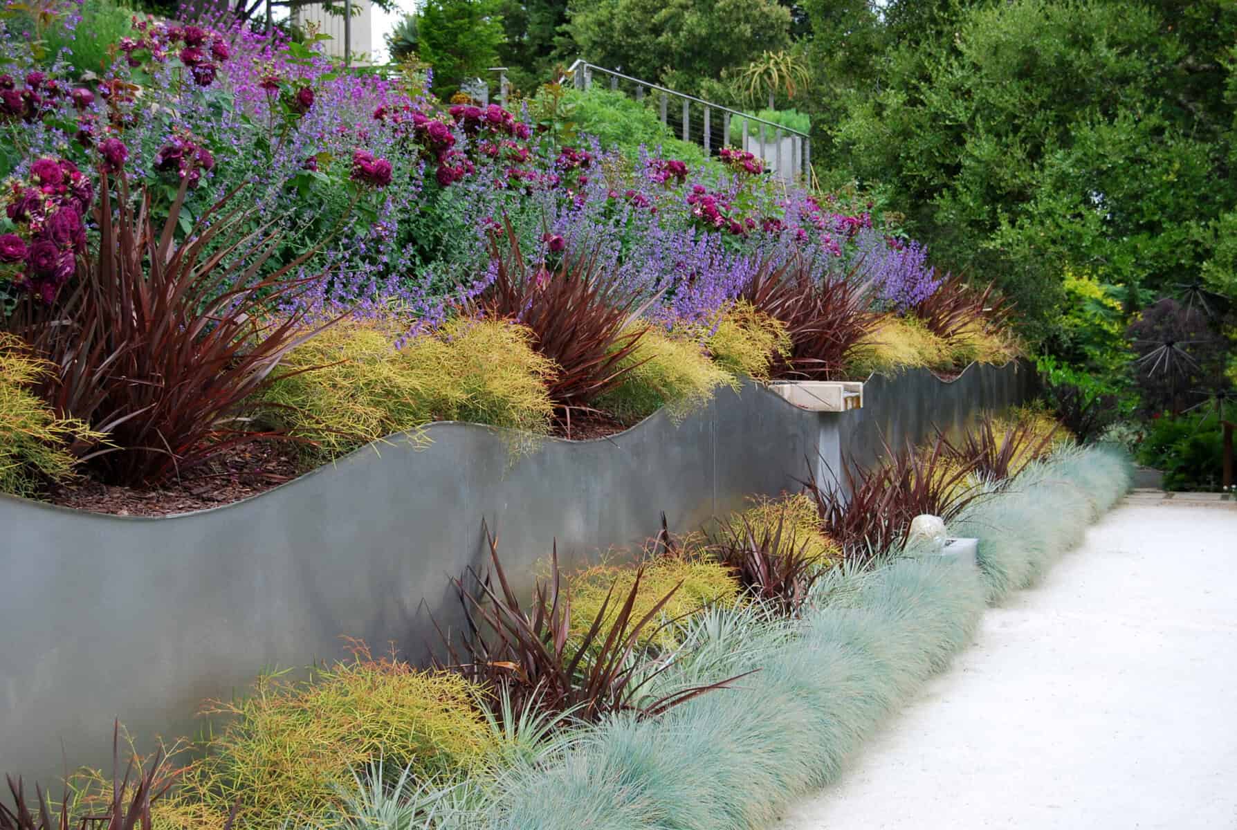 Nestled in Los Gatos, a beautifully landscaped Garden Gallery features vibrant purple and pink flowers, lush green and reddish-brown foliage, and variegated plants along a curving, wave-like gray retaining wall. A gravel pathway lined with blue-green grass runs alongside the wall.