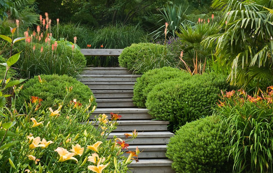 A wooden staircase leads through the Daily Garden, featuring neatly trimmed bushes, tall green grasses, and flowering plants with yellow and orange blooms. The stairs elevate toward a backdrop of dense, verdant foliage, adding a sense of tranquility to the scene.
