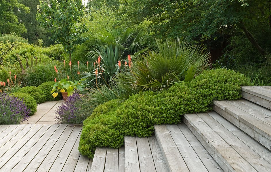 A serene backyard garden featuring a wooden deck and steps leading to a lush, landscaped area with a variety of green shrubs, palm trees, and flowering plants. The stone path winds through the vegetation, adding to the peaceful ambiance of this Form & Foliage Garden.
