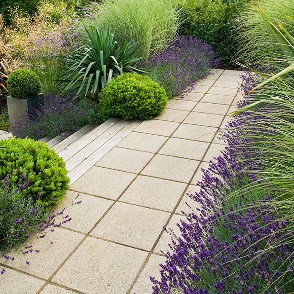 A well-maintained garden pathway with square stone tiles, flanked by lush green plants and vibrant purple lavender bushes. Tall ornamental grasses and various shrubs add texture and height to the serene, picturesque landscape of the Daily Garden.