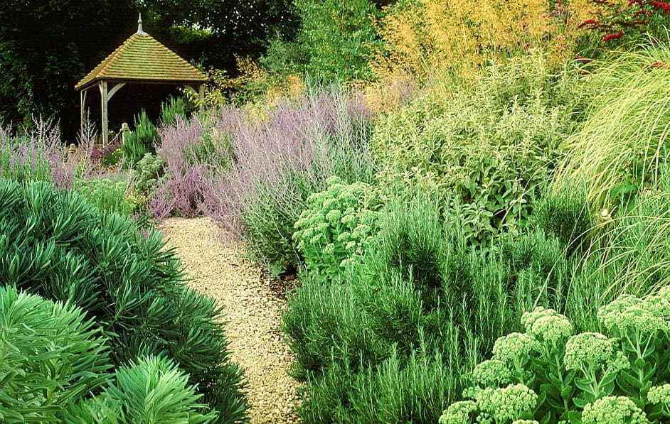 A serene garden pathway made of gravel winds through dense, lush greenery and colorful flowering plants, leading to a wooden gazebo with a thatched roof. Various shades of green, yellow, and purple vegetation create a vibrant and peaceful atmosphere in this Windswept Garden.