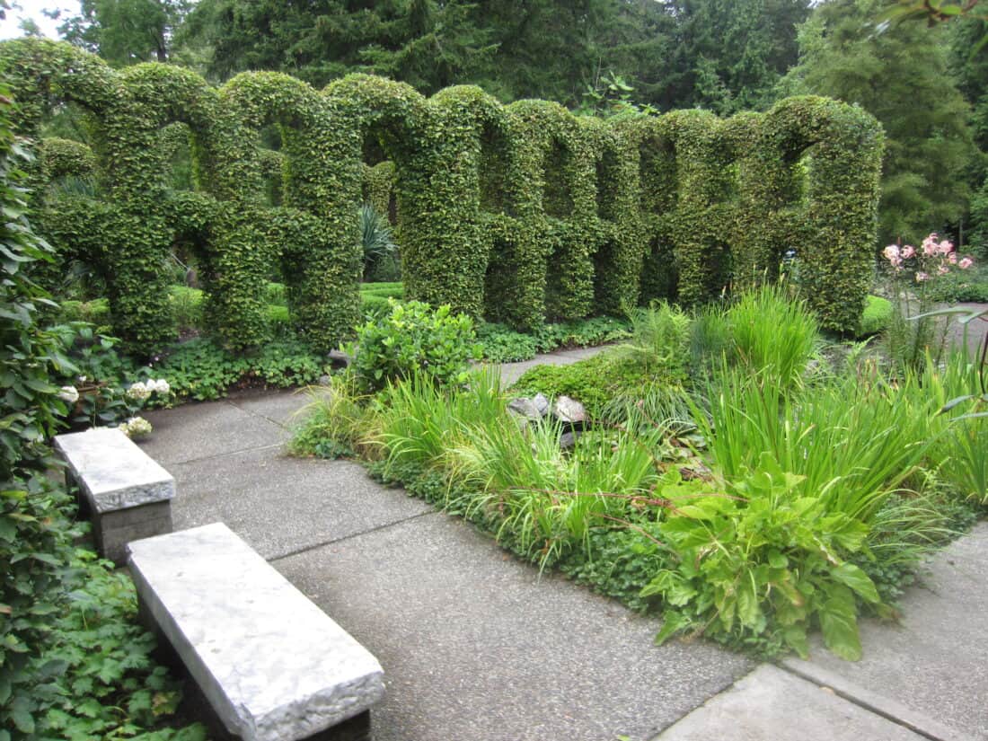 A well-kept garden features an intricate hedge wall with arched openings, pleached to perfection, and located next to a stone path and emerging greenery. Stone benches are positioned along the pathway, providing a serene spot to relax amidst lush foliage and blooming plants.