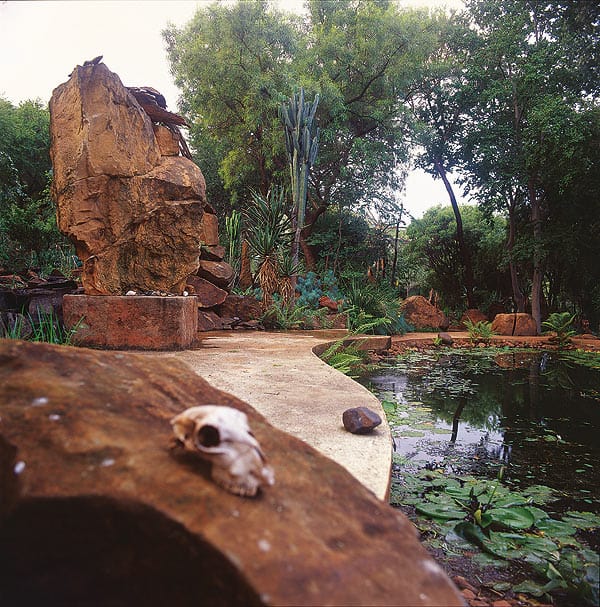 A serene garden scene with a South African rockery pond surrounded by lush greenery and tall trees. Large rocks and plant life create a natural, tranquil setting. A small animal skull rests on a rock in the foreground, adding an element of curiosity to the peaceful landscape.