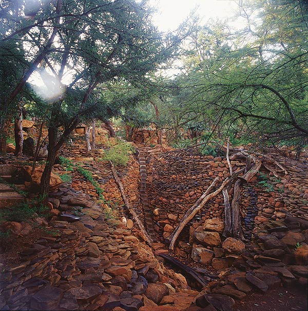 A lush, green forest scene depicts dry-stone ruins and a charming rockery blending seamlessly with the natural landscape. Sunlight filters through the trees, illuminating intricate stone walls, steps, and pathways, highlighting the historical significance of this serene garden.