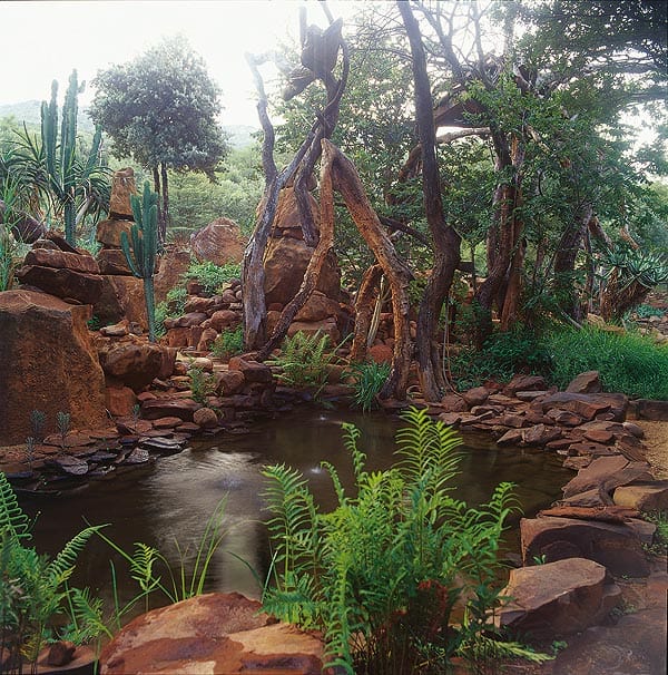 A serene natural pond surrounded by rocks, lush greenery, and tall trees. A South African rockery with cacti and various plants adds to the dense foliage. Sunlight filters through the overhead canopy, creating a tranquil and picturesque scene.