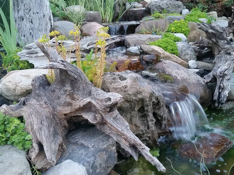 A small, cascading waterfall flows over rocks and driftwood into a pond. Yellow flowers and green plants grow among the rocks, adding color to the natural, serene scene. The water is clear and the surrounding greenery enhances the tranquil atmosphere, showcasing creative garden uses of natural materials.