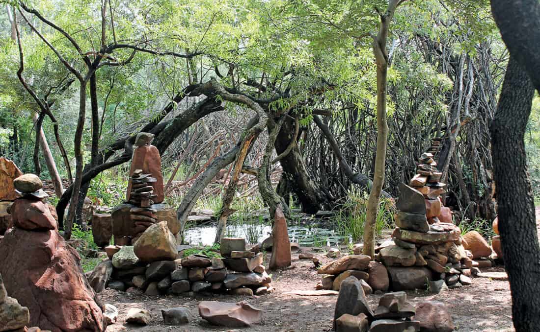 A tranquil forest scene features a South African-inspired rockery with creatively stacked formations of various sizes. Lush green trees and foliage surround a small pond, while branches and fallen logs add texture to the serene natural environment.