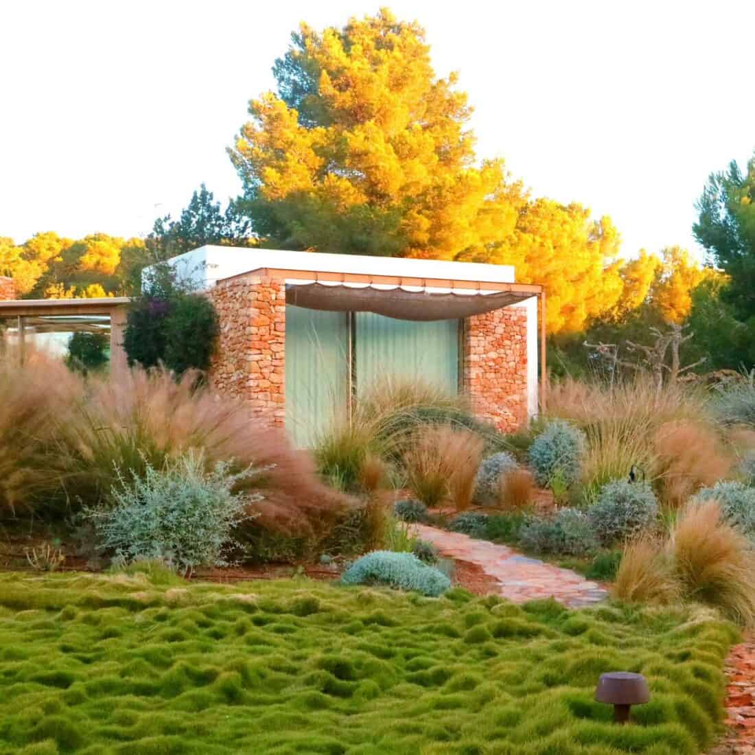 A modern stone bungalow with large windows is nestled among Korean No-Mow Grass and shrubs. A winding stone path leads to the front of the house. Pine trees are visible in the background, illuminated by the golden hour sunlight.