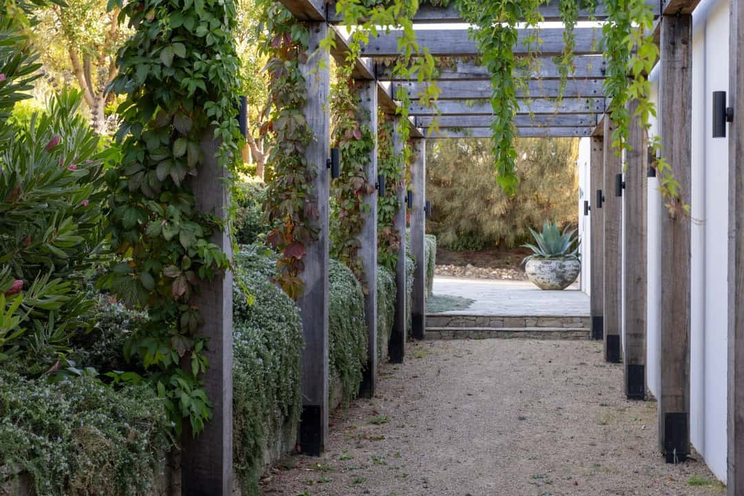 A narrow, shaded garden pathway covered with a natural arbor of vertical wooden beams intertwined with hanging green vines. Lush foliage lines both sides, leading to an open courtyard area with a large plant in a decorative pot at the far end.