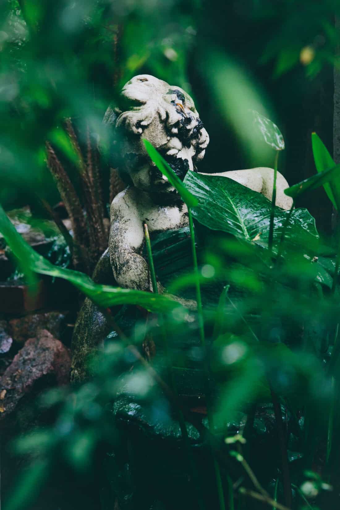 A weathered stone statue partially obscured by lush green foliage stands in what once might have been a grand Victorian garden. The statue, seemingly a person with a distressed expression and signs of wear, exudes an ancient and mythical air. The surrounding plants create a neglected, secret garden atmosphere.