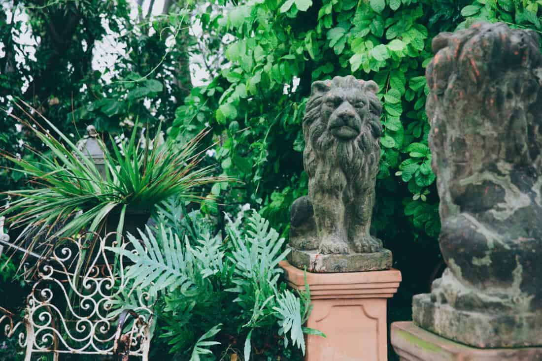 A garden scene reminiscent of a Clive Rundels painting, featuring a stone lion statue on a pedestal surrounded by lush green foliage, ferns, and a white ornate metal chair—a touch of the neglected Victorian garden. Another stone object is partially visible in the foreground to the right.