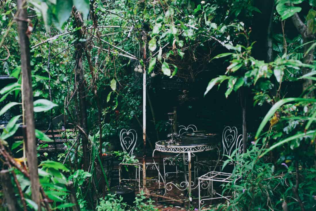 A table and chairs sit quietly in a neglected Victorian garden, surrounded by overgrown foliage.