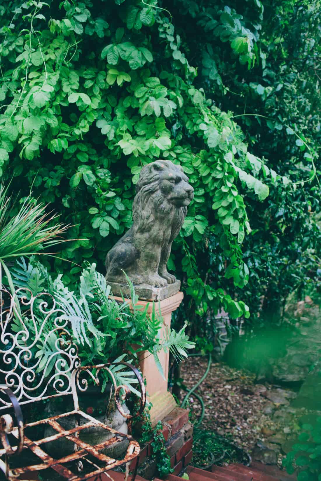 A stone lion statue sits on a pedestal, surrounded by lush, green foliage and plants. To the left, there is an ornate metal bench. The scene evokes a serene and overgrown garden atmosphere reminiscent of a neglected Victorian garden once tended by Clive Rundels.