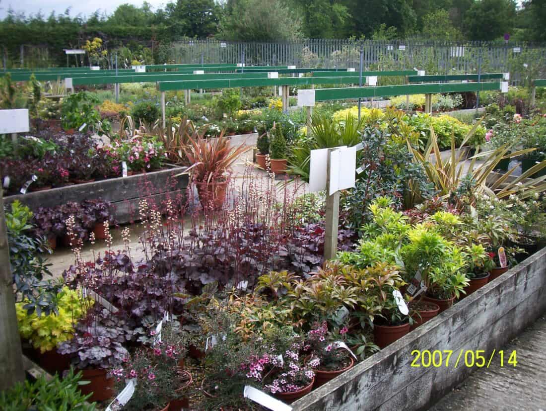 A vibrant garden center with various potted plants arranged in multiple raised beds invites visitors for some plant shopping. Signs are placed among the plants, and a fenced area with tall green trees is visible in the background. The date stamp on the photo reads "2007/05/14".