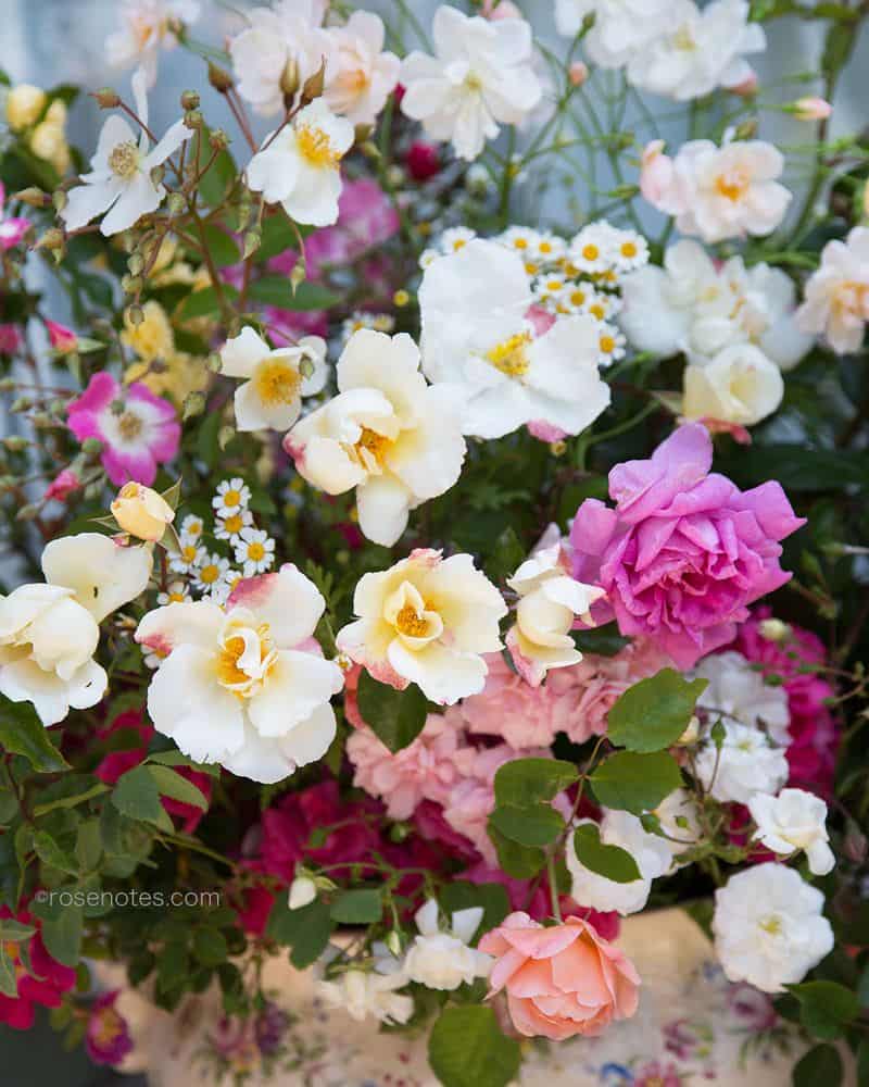 A vibrant bouquet of various flowers, including white, pink, and peach roses alongside small white daisies with yellow centers, beautifully arranged. The lush green leaves add depth to the composition, evoking the Romance of the Rose and creating a fresh and lively floral display.