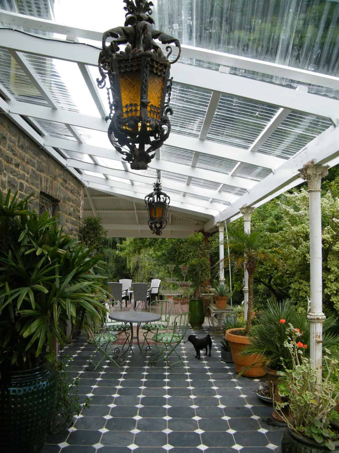 A cozy patio in the heart of Kwazulu-Natal featuring a transparent corrugated roof, suspended ornate lanterns, and a tile floor with black and white patterns. The space boasts an impressive plant collection and has a table with metal chairs. A black cat stands near the center.