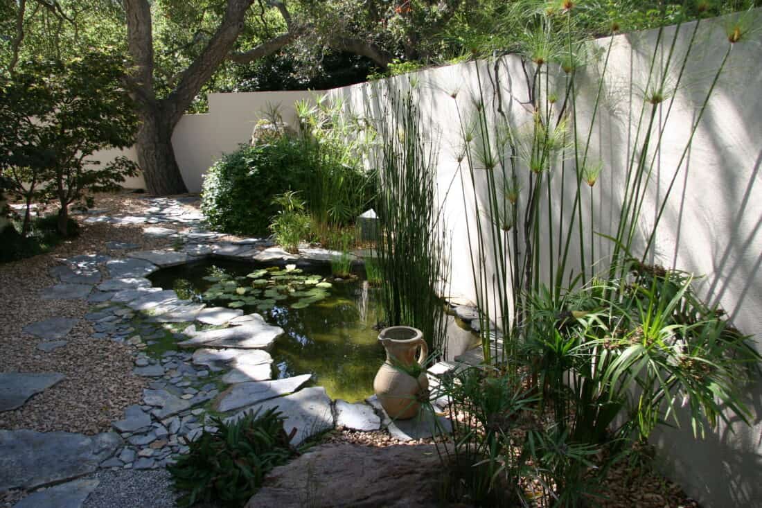 A serene garden designed by Isabelle Greene in Santa Barbara features a small, stone-bordered pond filled with lily pads. Tall green reeds and leafy plants surround the pond. An ancient vase is placed near the water, while a tall, light-colored wall and large tree provide shade and privacy along the pebbled pathways of this Daily Garden treasure.