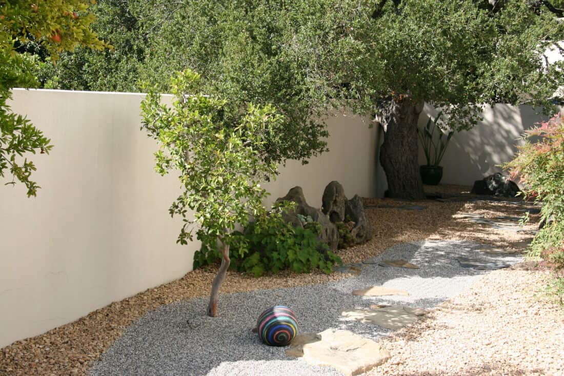 A tranquil backyard garden, reminiscent of an Isabelle Greene design, features a small tree and a large tree with broad branches, both surrounded by gravel and stone paths. A colorful striped ball rests on the gravel. The garden, evocative of Santa Barbara charm, is enclosed by a white wall and scattered with rocks and plants.