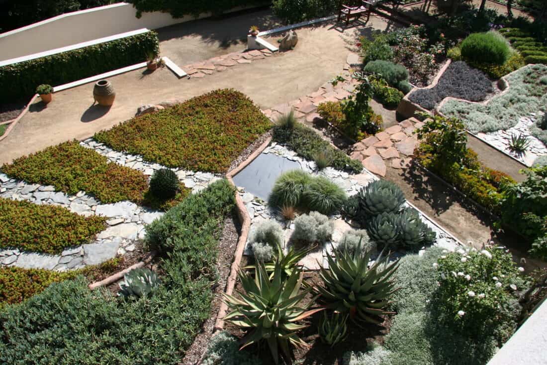 A diverse succulent garden, inspired by Isabelle Greene's designs in Santa Barbara, features various plants arranged in geometric patterns. Stone pathways meander through the greenery, and a large terracotta pot lies near a white wall. The Daily Garden showcases multiple textures and shades of green, brown, and gray.