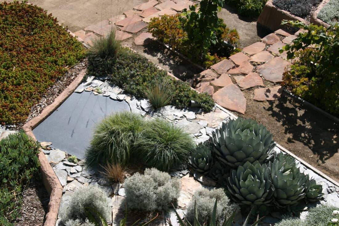 A landscaped garden showcasing a variety of plants. Designed by Isabelle Greene, this Santa Barbara oasis features succulents, including large agave, and ornamental grasses grow among slate and stone walkways. Earth-toned pathways and a section with low, ground-covering plants are also visible.