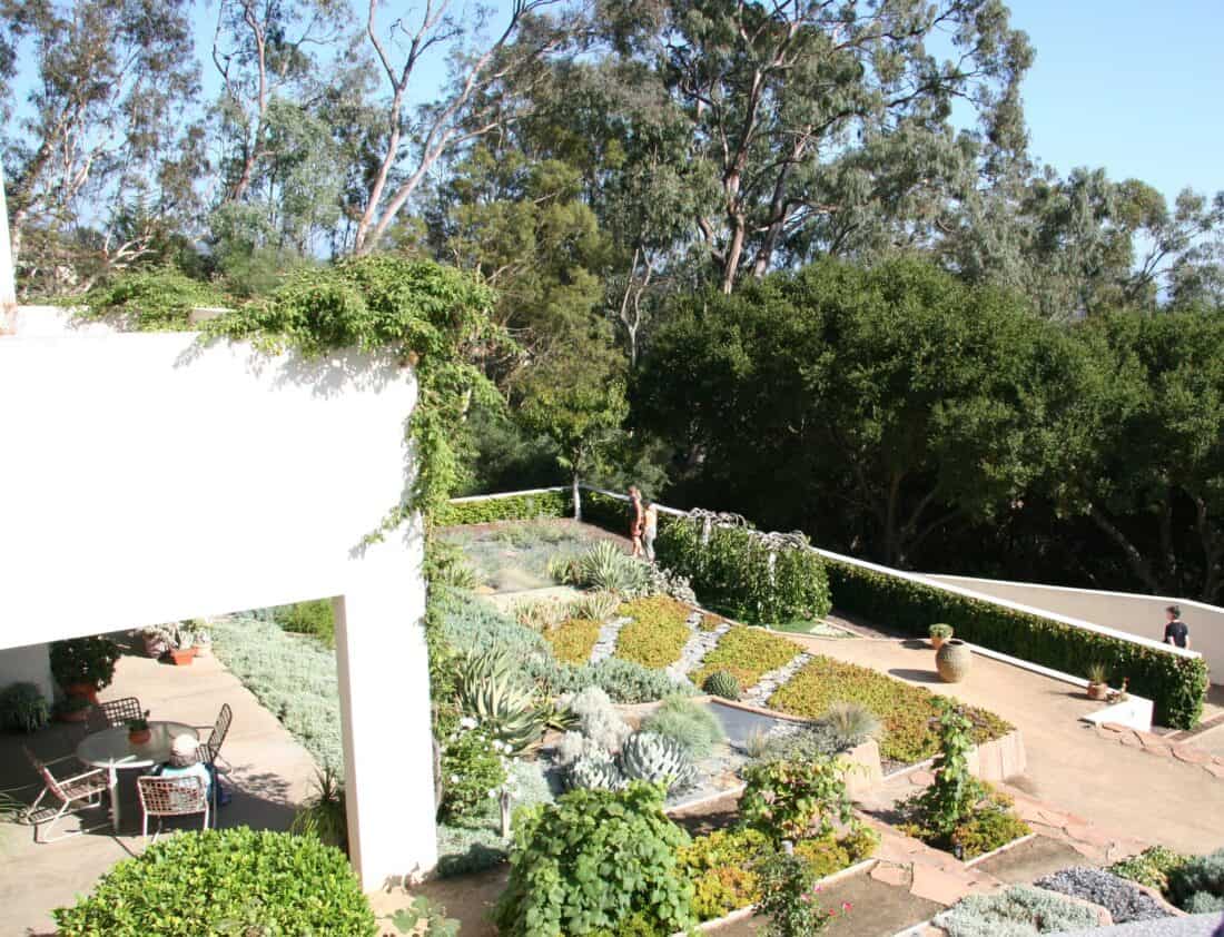 A lush garden designed by Isabelle Greene, featuring a variety of plants and shrubs arranged in neat rows next to a white building. The Daily Garden is bordered by tall trees and includes a small seating area with round tables and chairs. Pathways wind through the garden, with two people visible in the background.