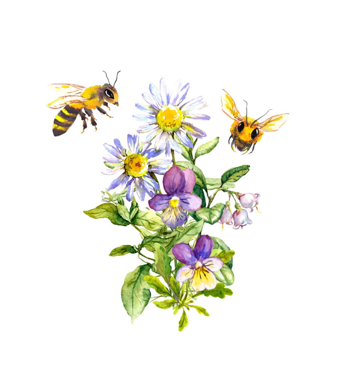 A watercolor painting of bees flying near a bunch of purple and white wildflowers. The flowers include daisies and violets with green leaves, depicted on a plain white background.