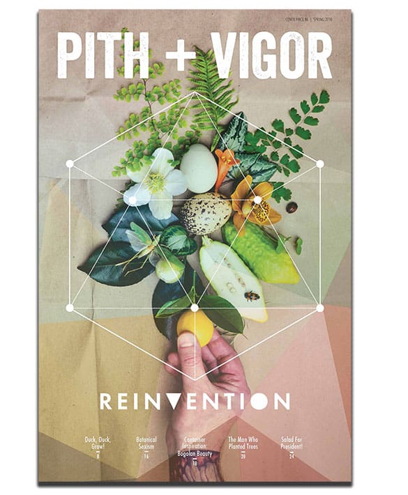 Magazine cover with the title "Pith + Vigor" at the top. It features a vibrant arrangement of flowers, leaves, and eggs held by a hand against a geometric background. The word "Reinvention" appears at the bottom, surrounded by headlines for various articles in this Print Publication Index.