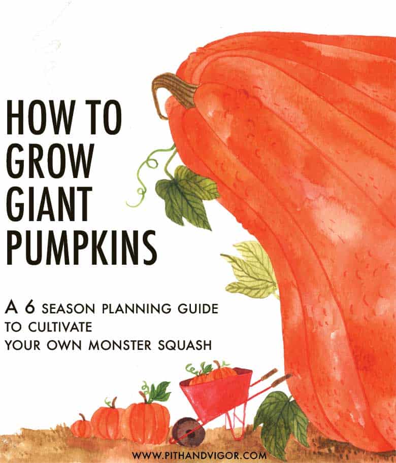 Illustrated cover featuring a large orange pumpkin entwined in a vine. Text reads, "How to Grow Giant Pumpkins: A 6 Season Planning Guide to Cultivate Your Own Monster Squash." At the bottom, a red wheelbarrow sits amid smaller pumpkins.