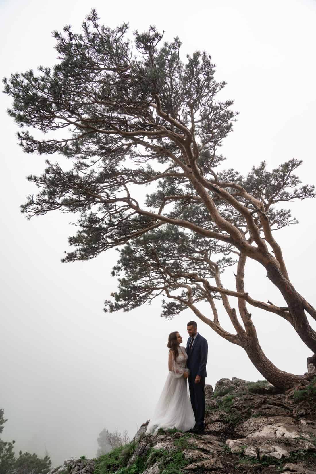 A couple stands on a rocky ledge beneath a majestic wedding tree. Dressed in formal attire, they embrace the misty fog and the serene, overcast sky that serves as their backdrop. The scene embodies romance and tranquility.