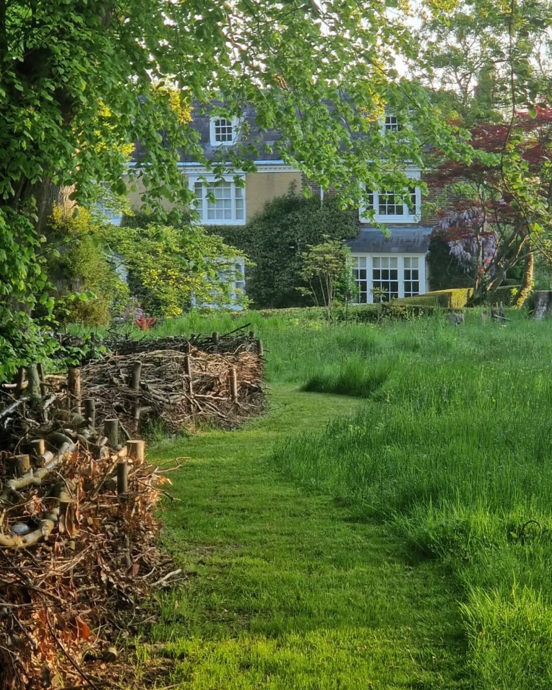 A path winds through a lush green garden with tall grass and a living barrier on the left. In the background, a charming house with white-framed windows peeks through trees and vibrant greenery, embodying the spirit of healing the land.